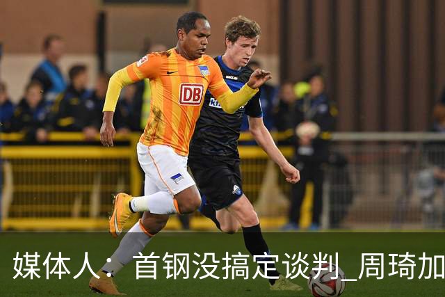 媒体人：首钢没搞定谈判 周琦加盟可能要黄